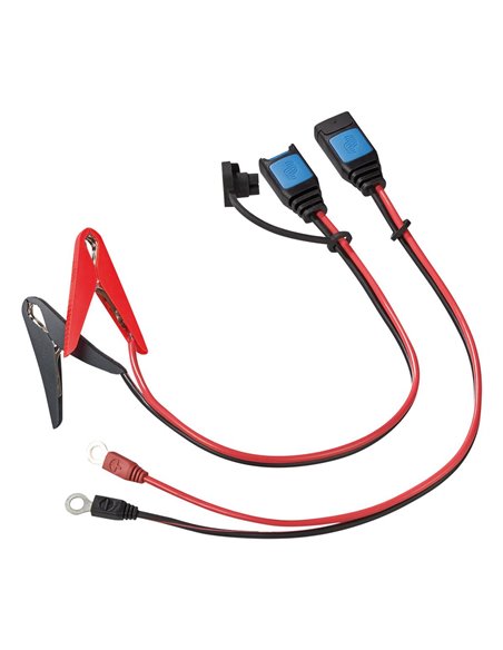 Akumuliatoriaus pakrovėjas Blue Smart IP65 Charger 10A (120V and 230V)