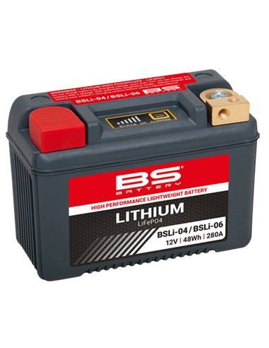 BSLI-04/06 BS Lithium-ion