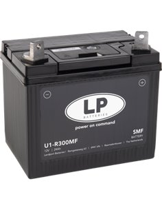 LP U1-R300 Ca/Ca SMF