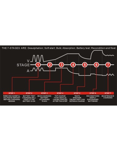 PACO 7A Impulsinis įkroviklis 12V