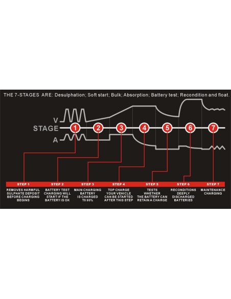 PACO 7A Impulsinis įkroviklis 12V