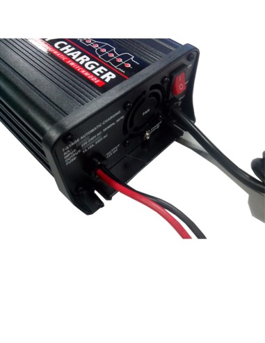 PACO 7A Impulsinis įkroviklis 12V