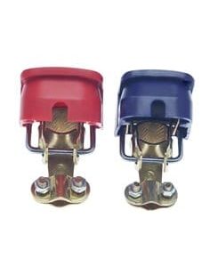 Fiksuojamasis gnybtas