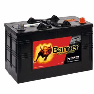 Banner 110Ah 800A Buffalo Bull akumuliatorius 12V