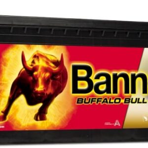 Banner 190Ah 1050A Buffalo Bull EFB akumuliatorius 12V
