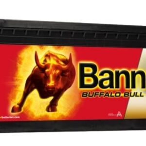 Banner Buffalo Bull 210Ah AGM 12V 1200A